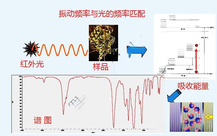 傅里叶红外光谱仪(FT-IR) 傅里叶红外光谱仪(FT-IR)